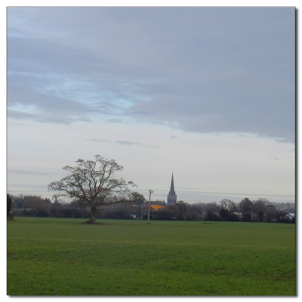 Soft light over Fishbourne Channel, 