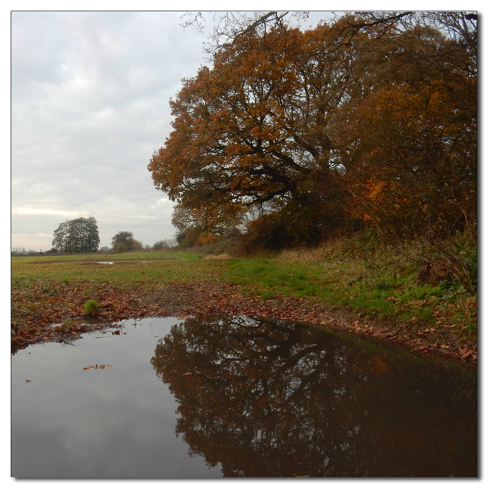 Soft light over Fishbourne Channel, 