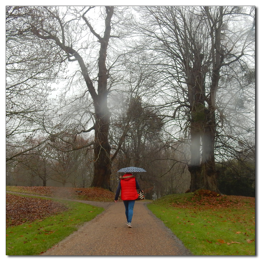 Christmas at Petworth House, 