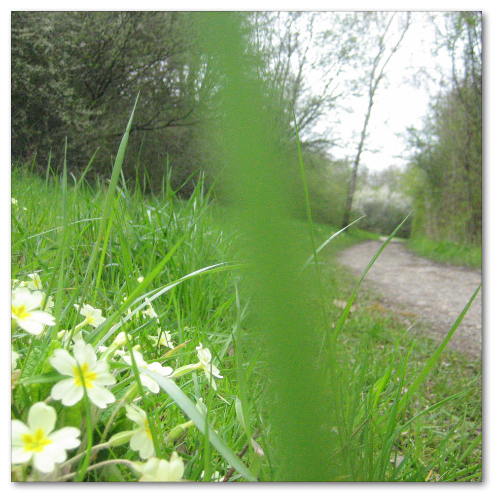 Southwater Country Park, 