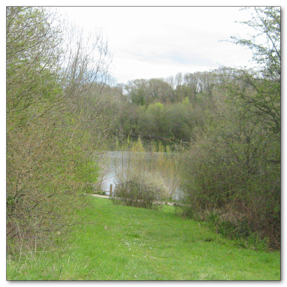 Southwater Country Park, 