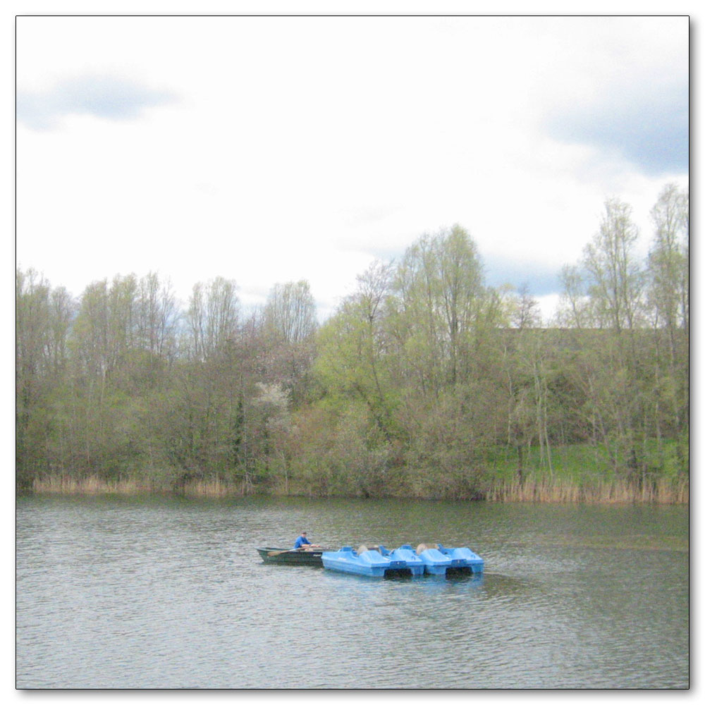 Southwater Country Park, 