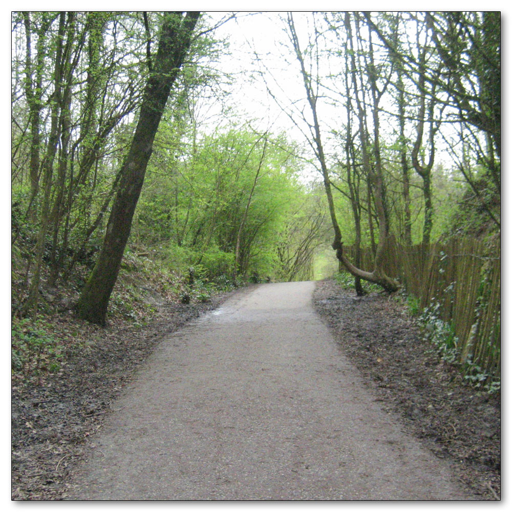 Southwater Country Park, 