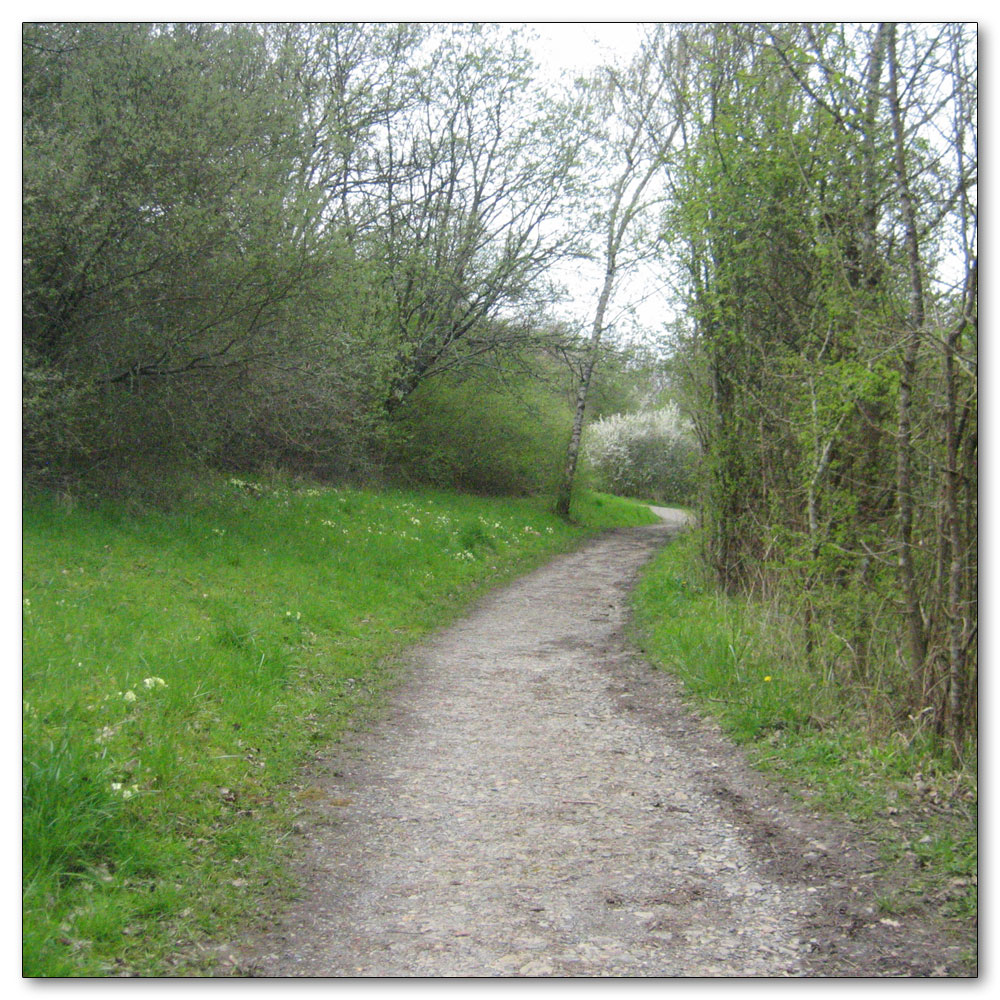 Southwater Country Park, 