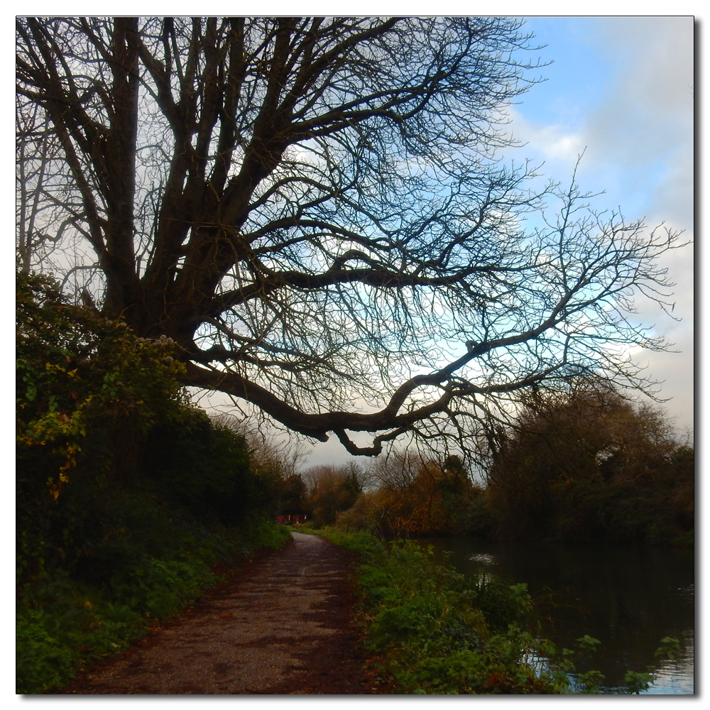 Chichester Ship Canal, 