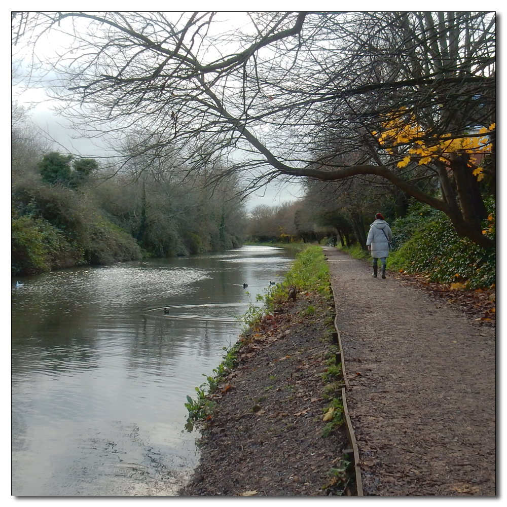 Chichester Ship Canal, 