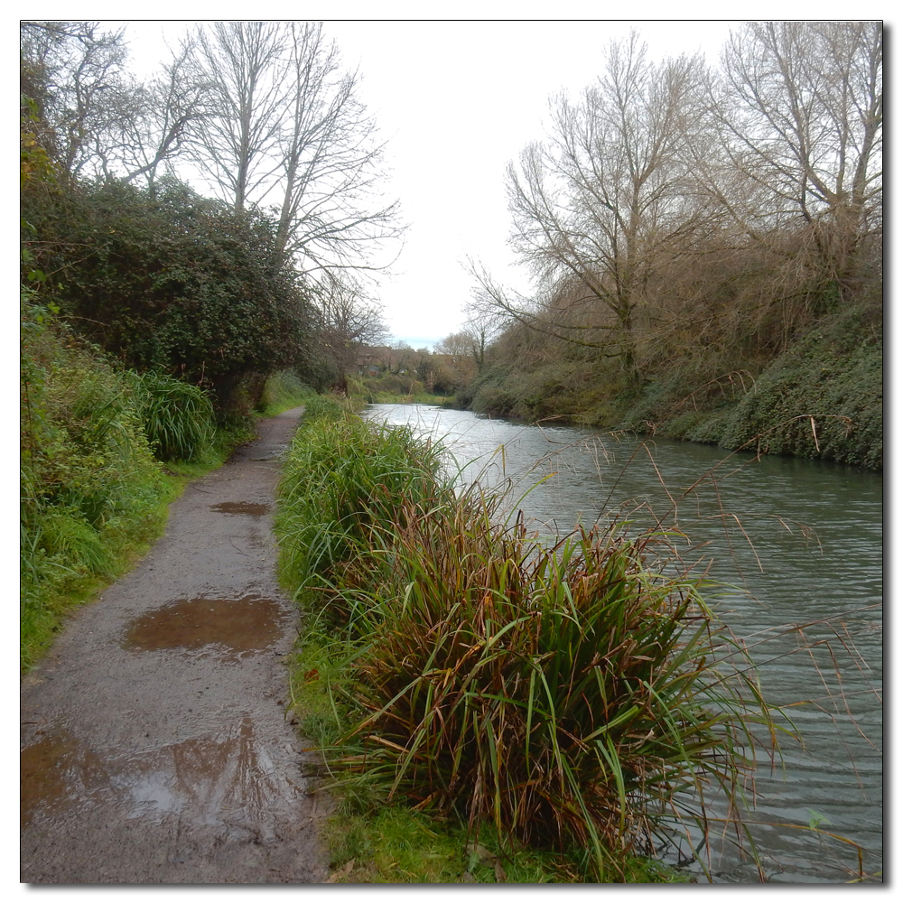 Chichester Ship Canal, 