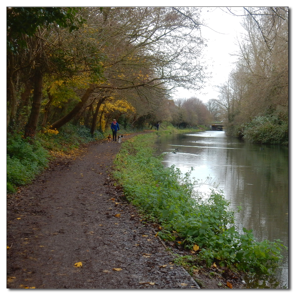 Chichester Ship Canal, 