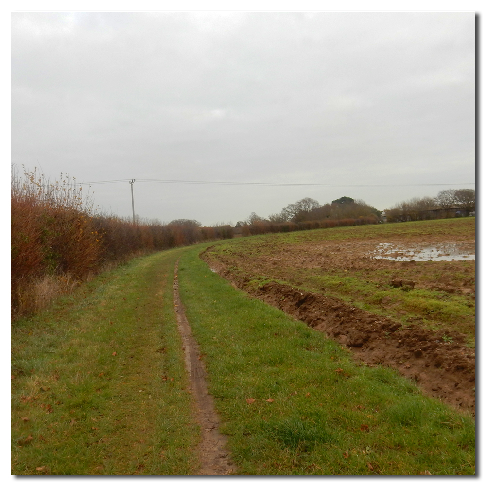 All still on the Fishbourne Channel, 