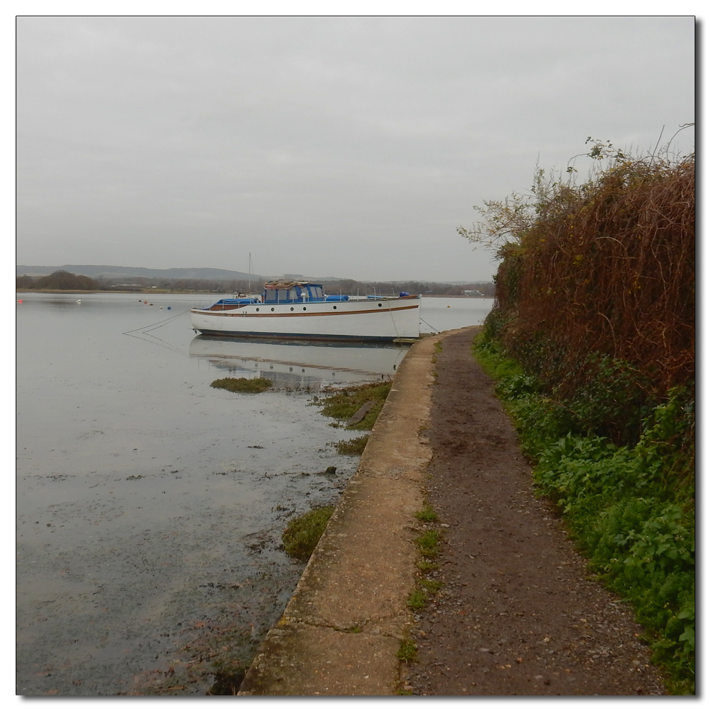 All still on the Fishbourne Channel, 