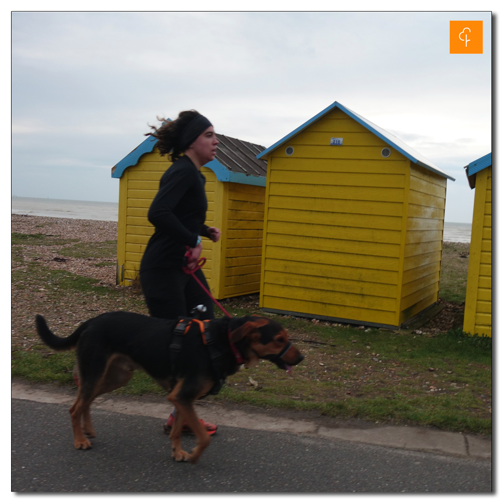 Littlehampton Parkrun, 171, 