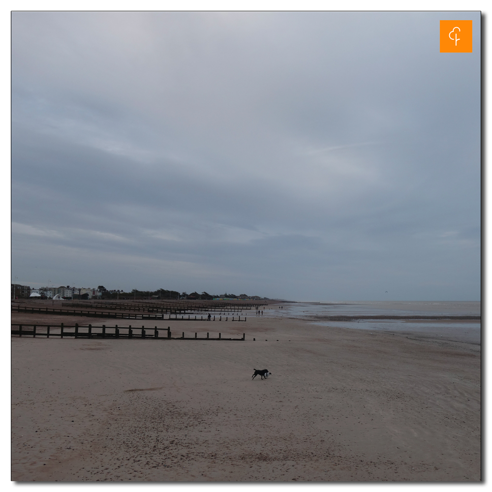 Littlehampton Parkrun, 171, 