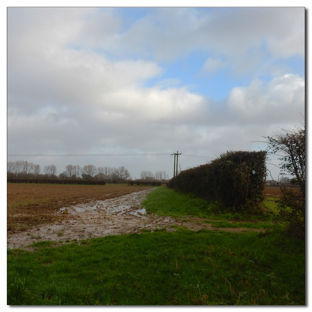 After Storm Henk, 