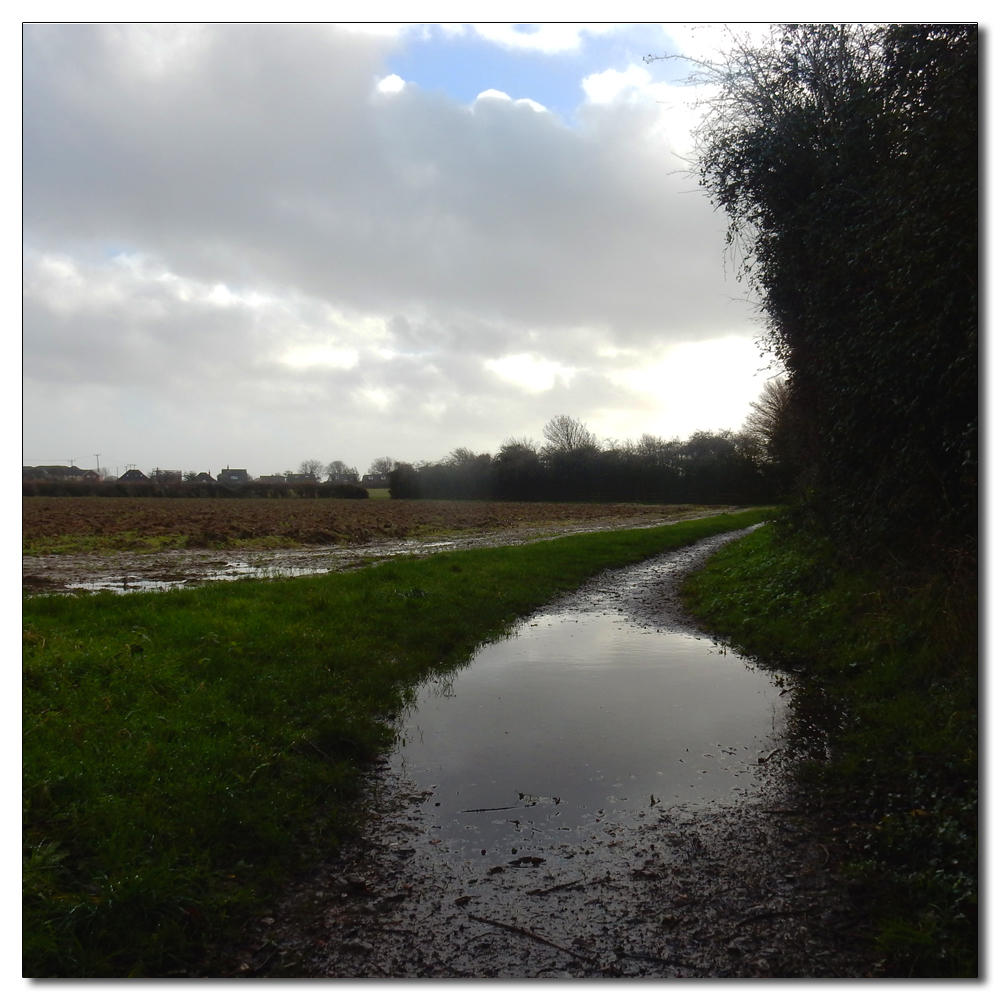 After Storm Henk, 