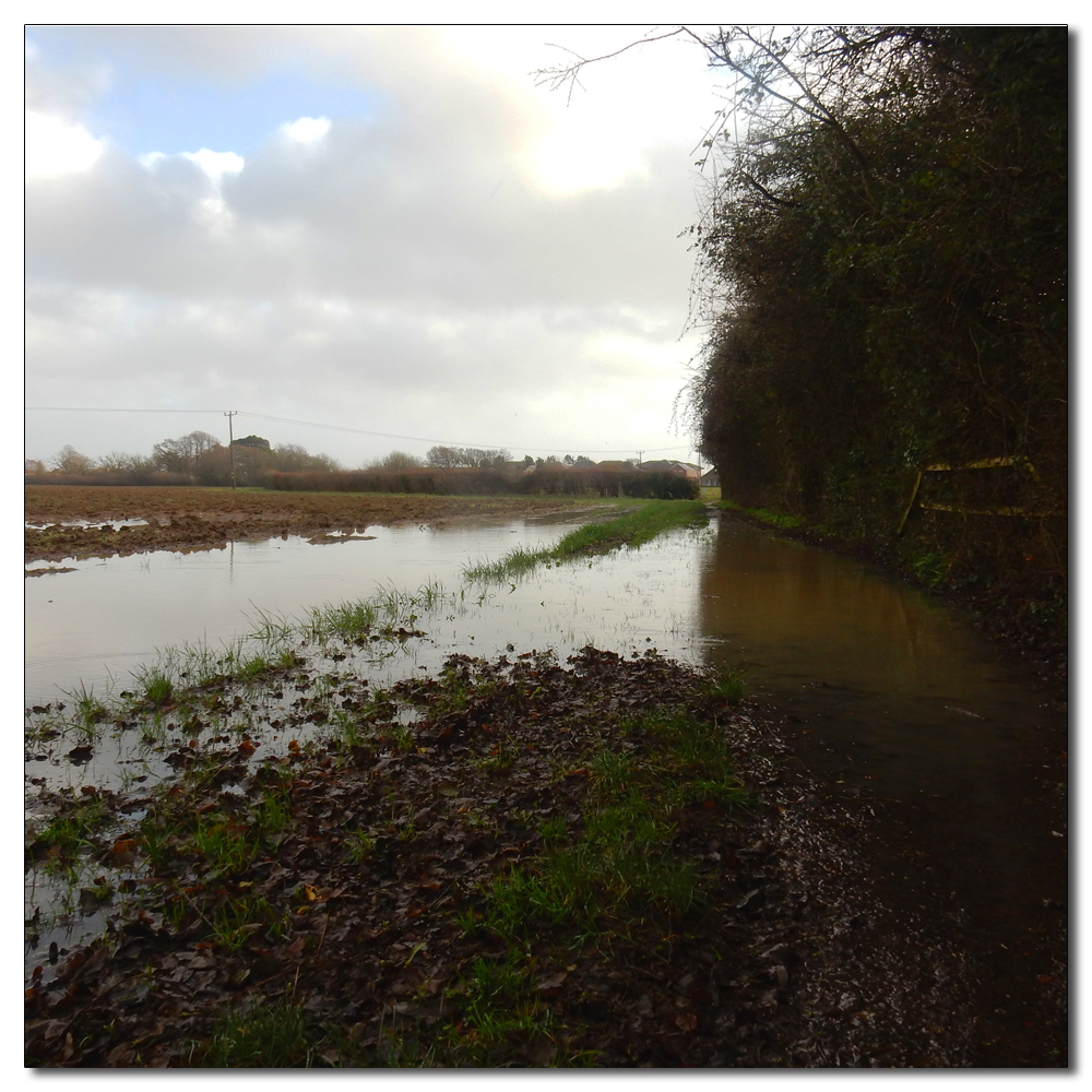 After Storm Henk, 