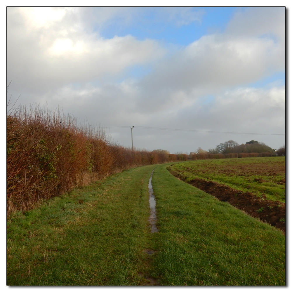 After Storm Henk, 