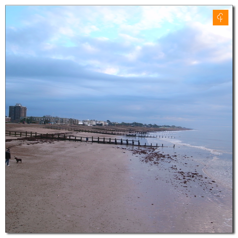 Littlehampton Parkrun, 172, 