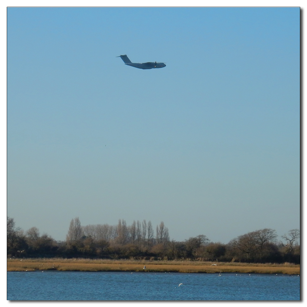 Brent Geese Return, Airbus A400M Atlas, military transport aircraft