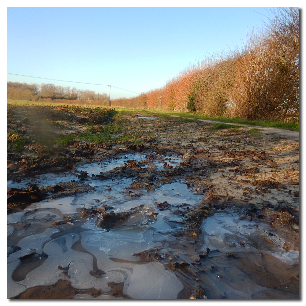 Brent Geese Return, Ice on the paths