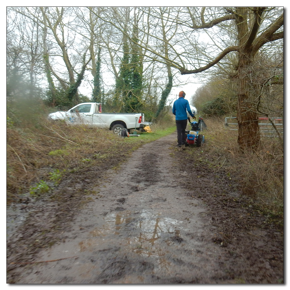 Deep water at Church Lane, Cutting back