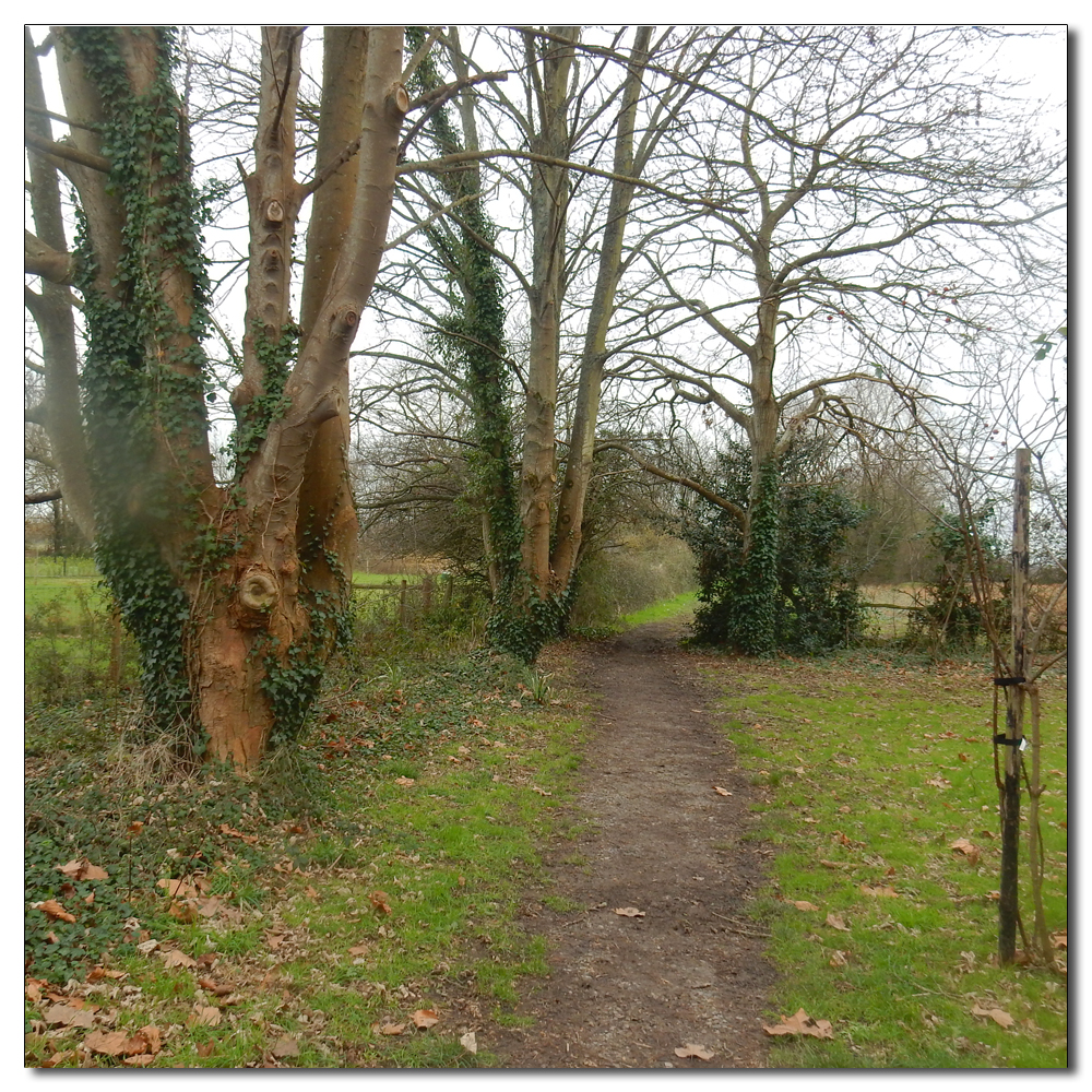 Deep water at Church Lane, 