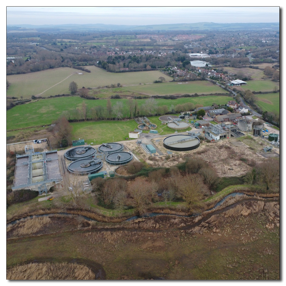 Deer Spotting, Chichester Waste water Treatment Work