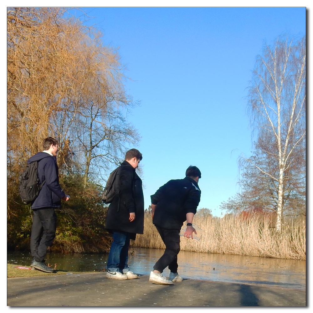 Horsham Park in the sun, Ice skimming