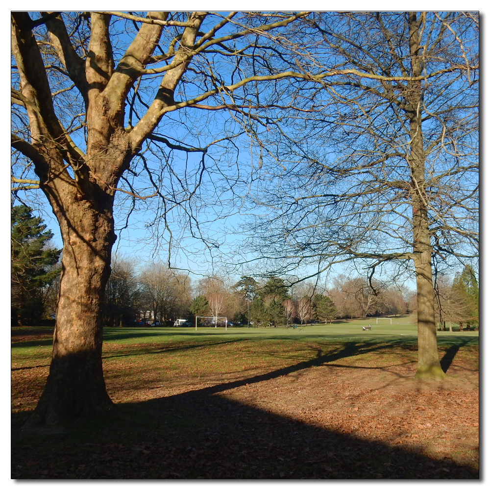 Horsham Park in the sun, 