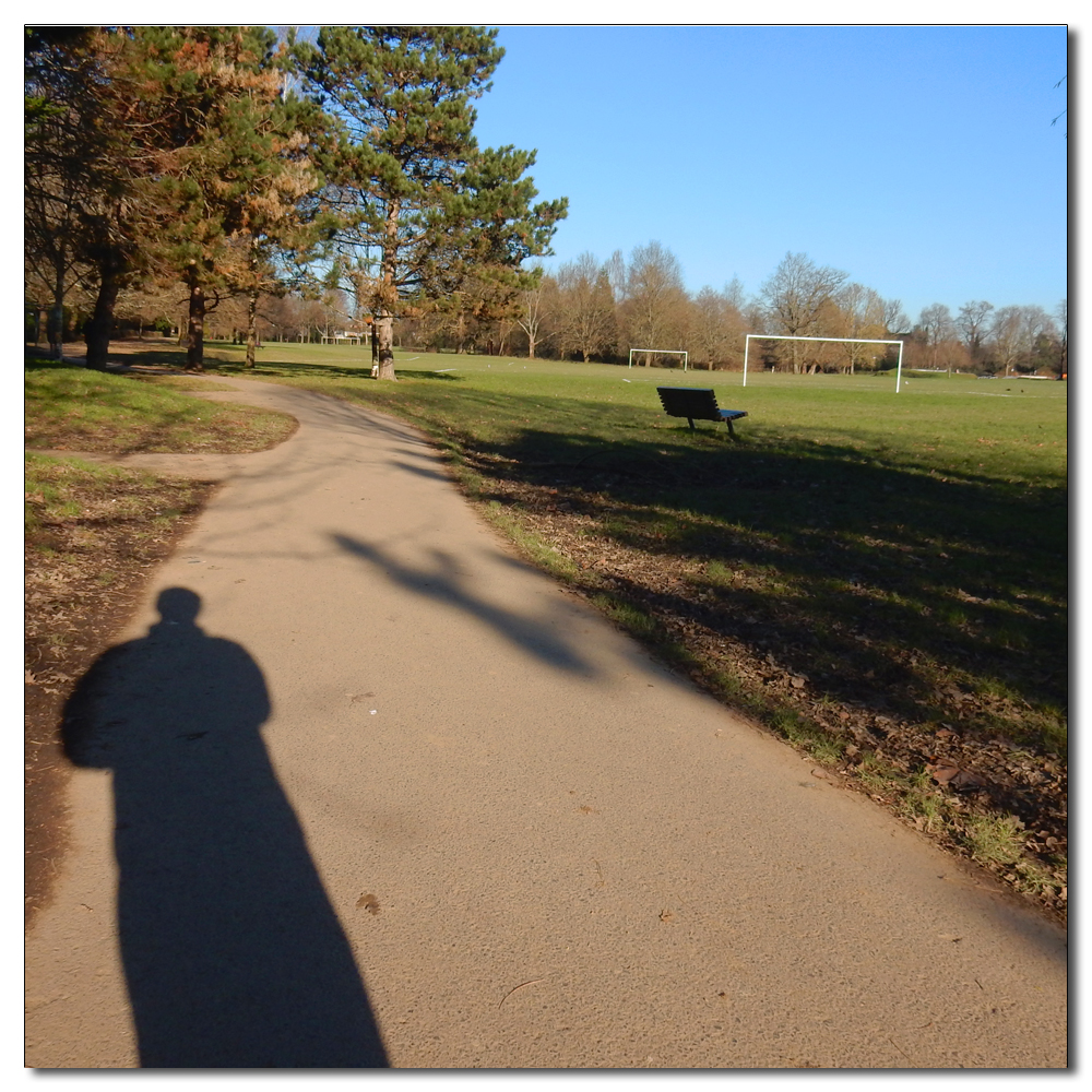 Horsham Park in the sun, 