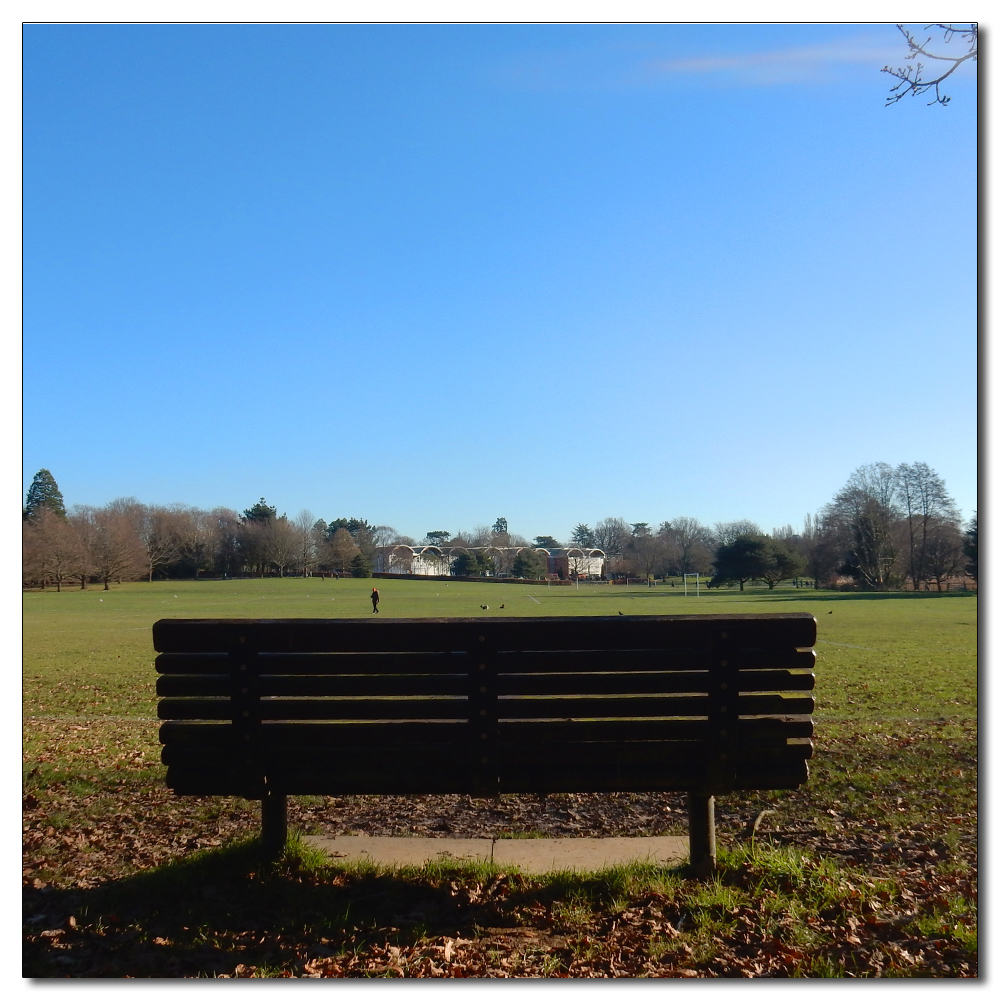 Horsham Park in the sun, 