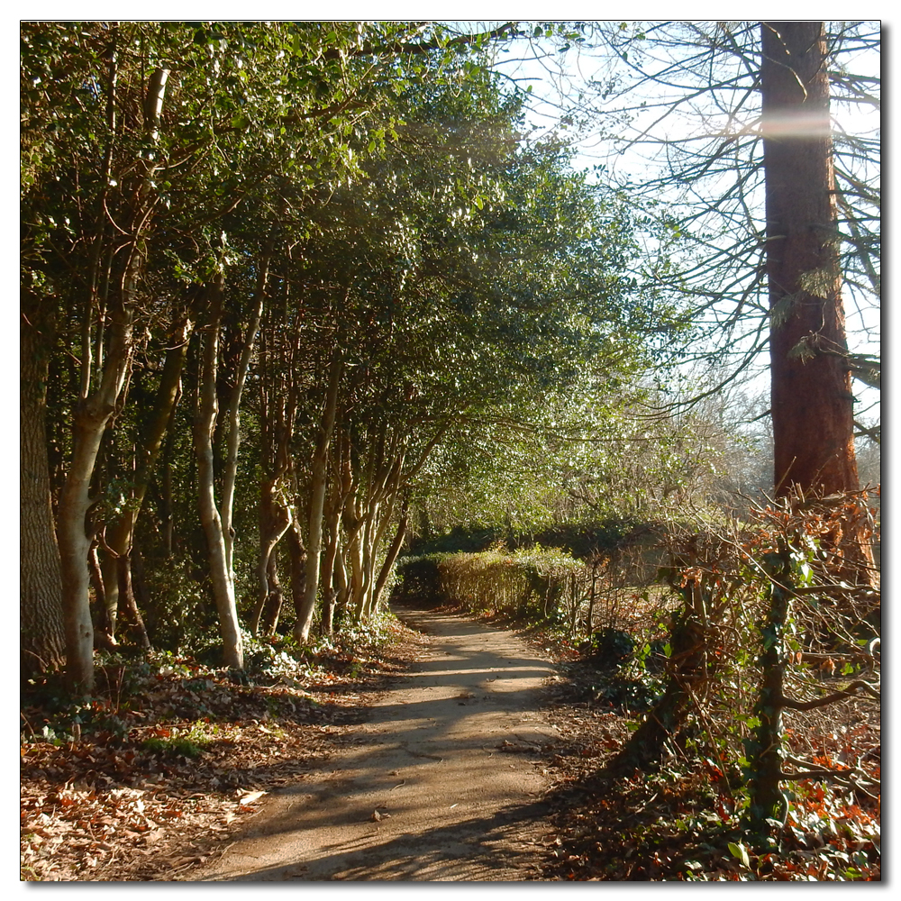 Horsham Park in the sun, 