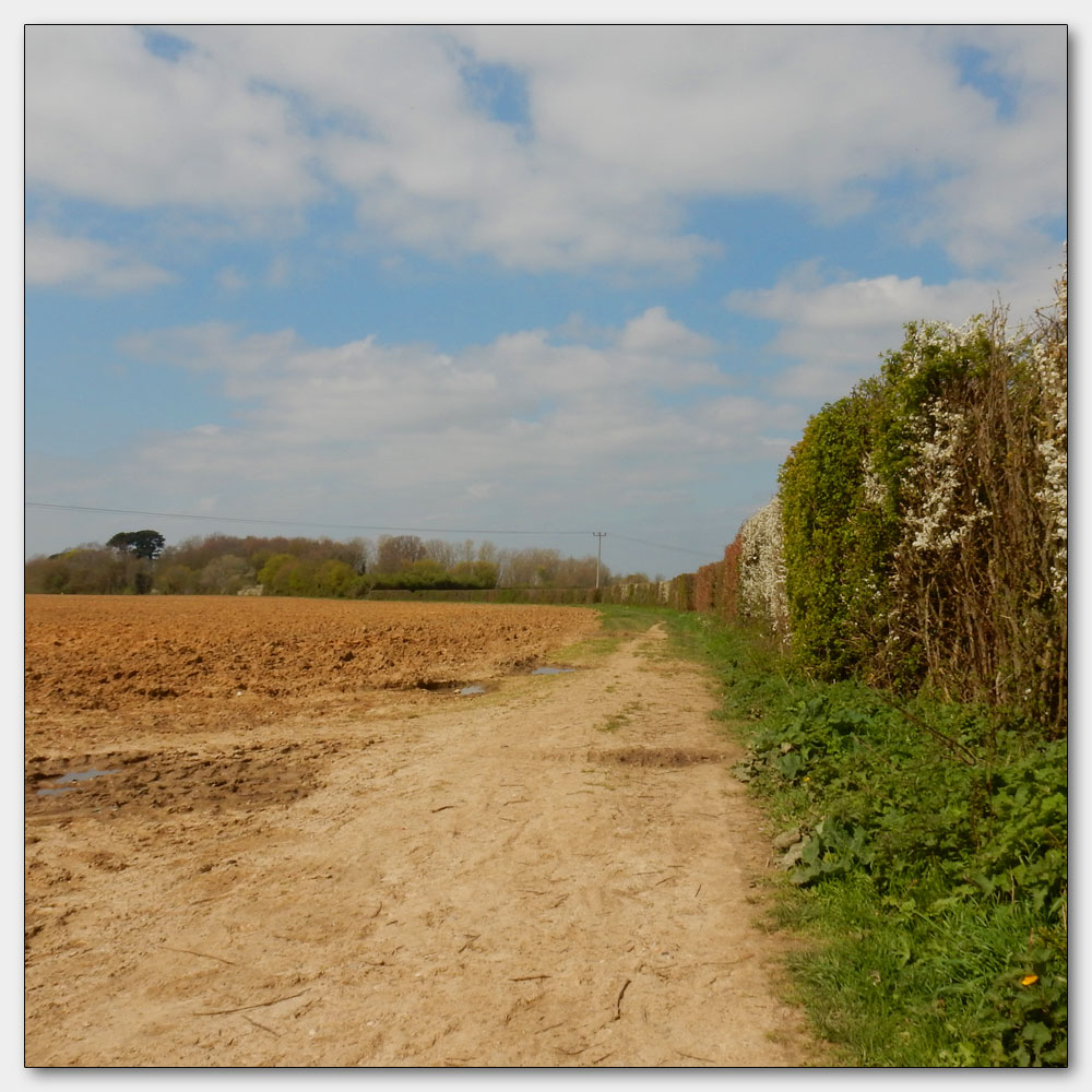 Fishbourne Channel, Starting my walk