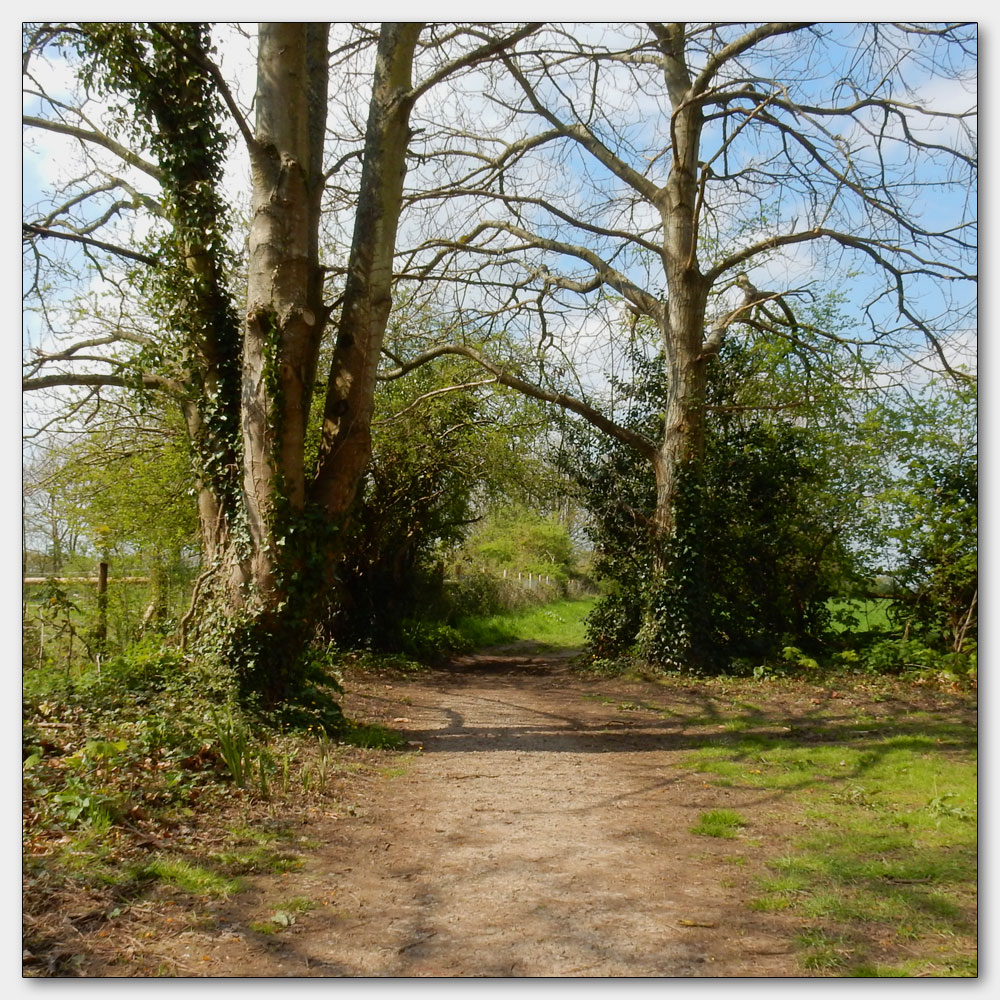 Fishbourne Channel, 