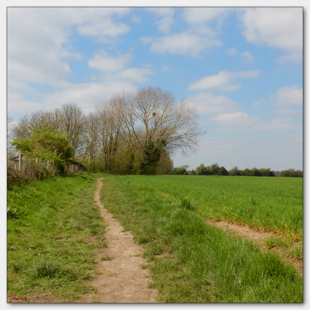 Fishbourne Channel, 