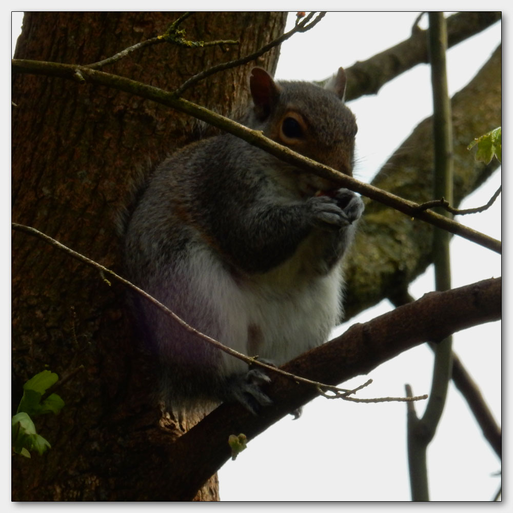 Fishbourne Channel, 