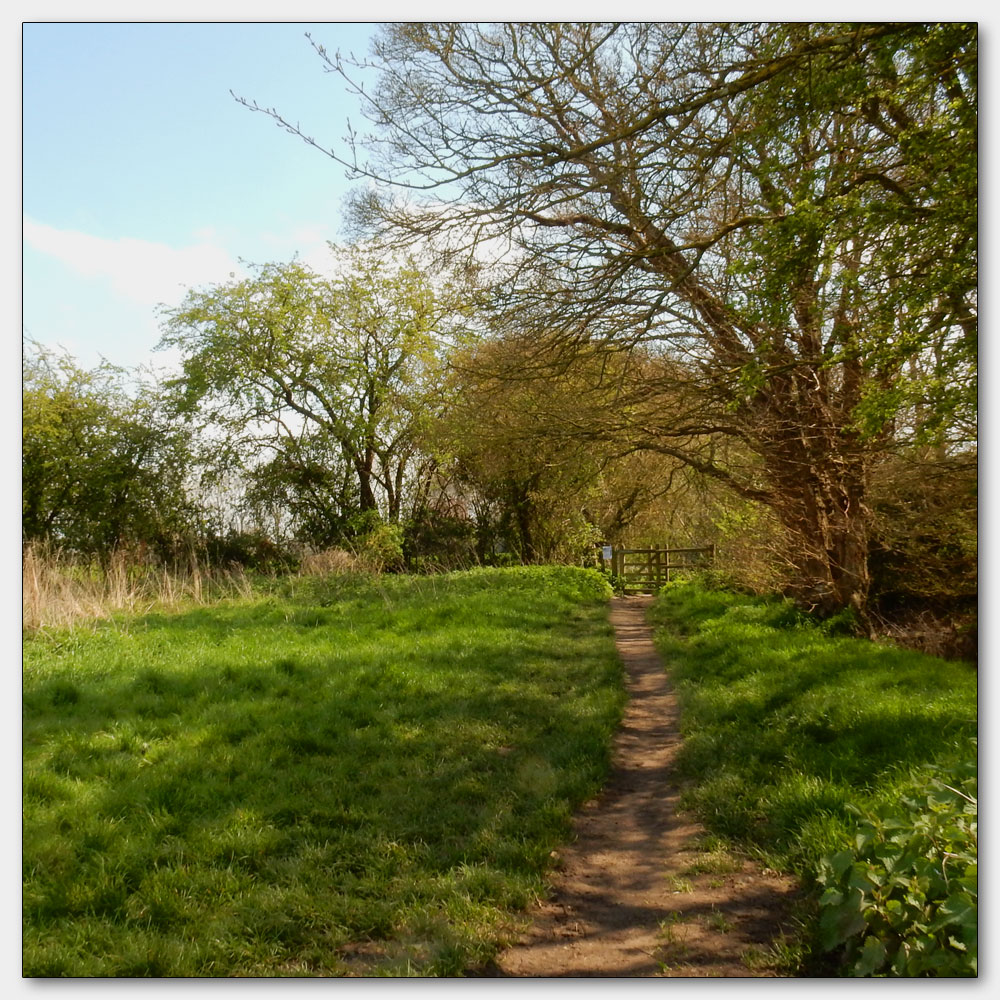 Fishbourne Channel, 