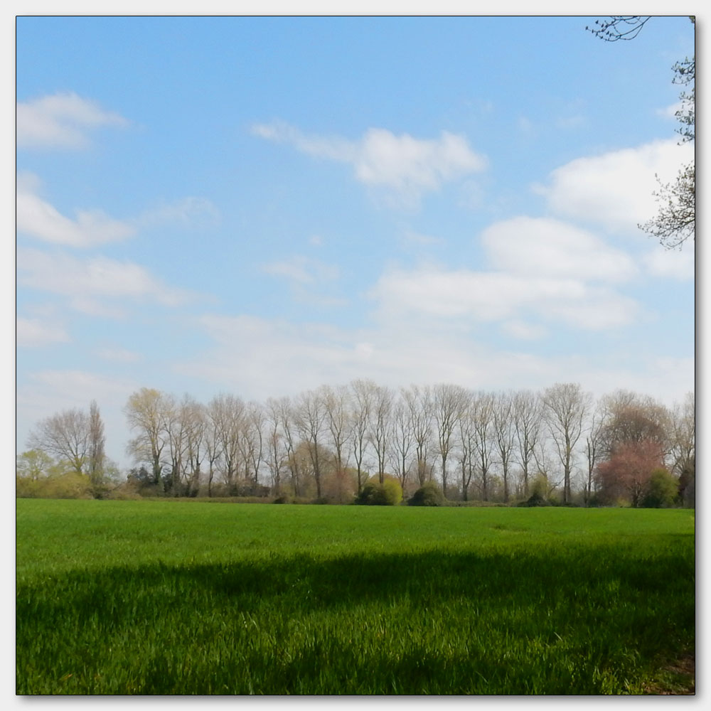 Fishbourne Channel, 