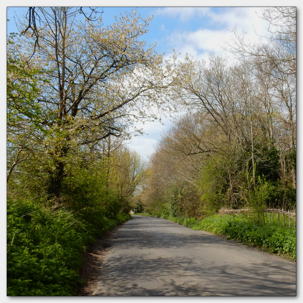 Fishbourne Channel, 