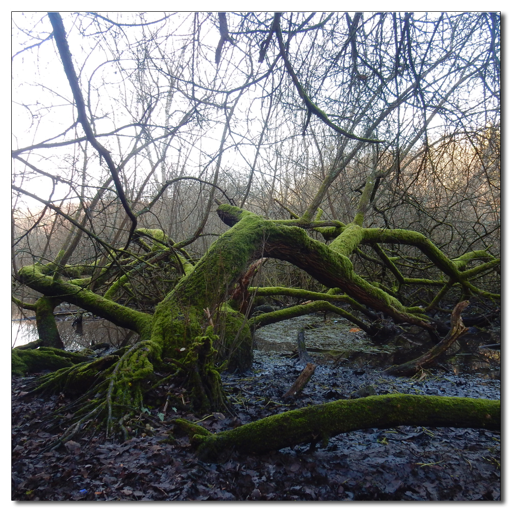 Arundel Park loop, 