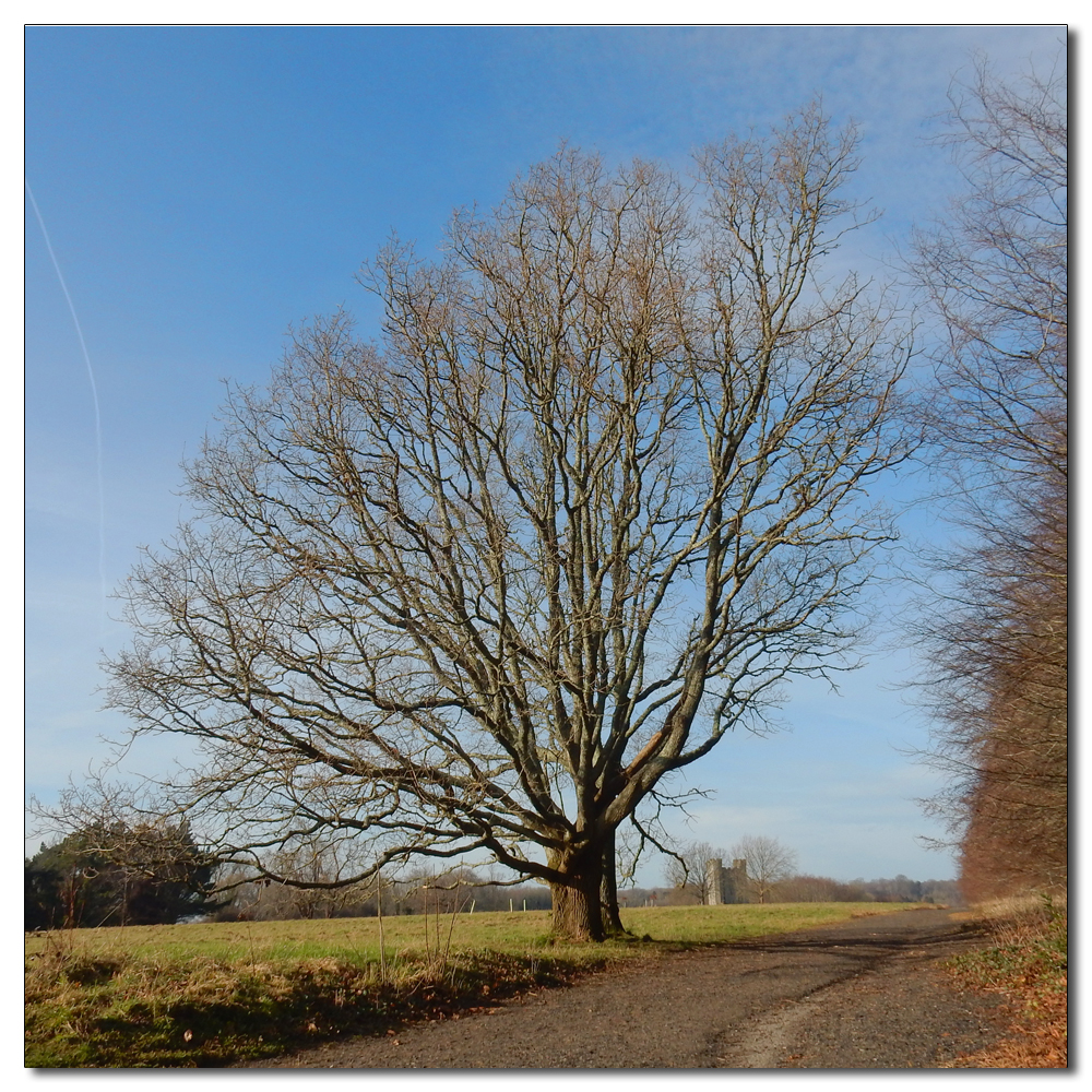 Arundel Park loop, 