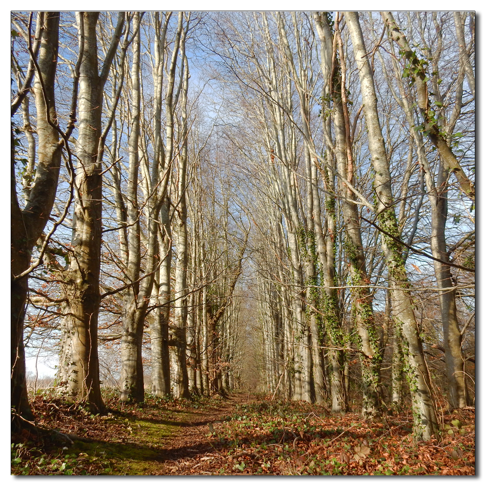 Arundel Park loop, 