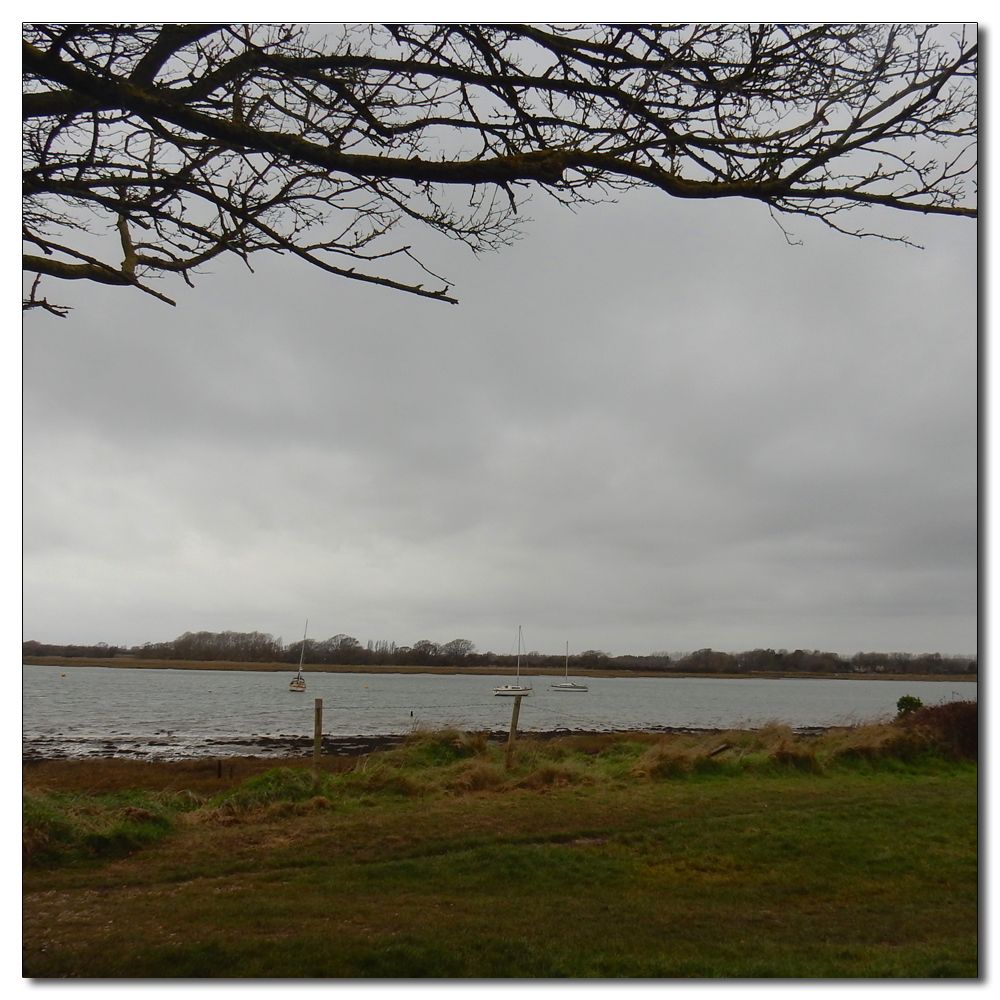 Brent Geese over Fishbourne, 