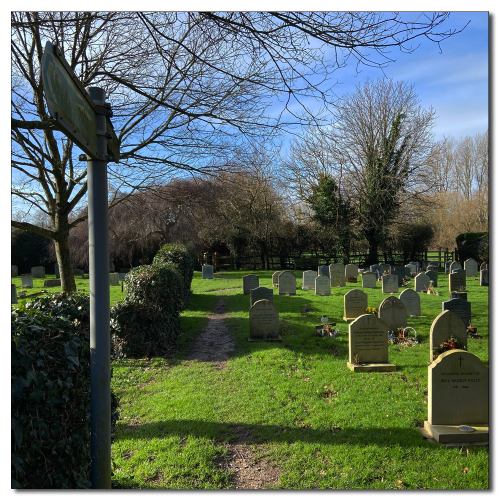 Daffodils in the church yard, 