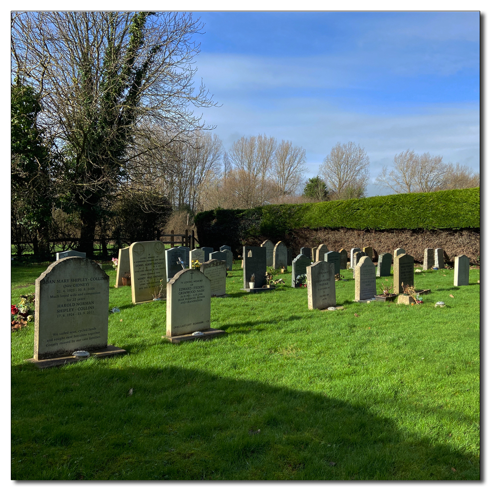 Daffodils in the church yard, 