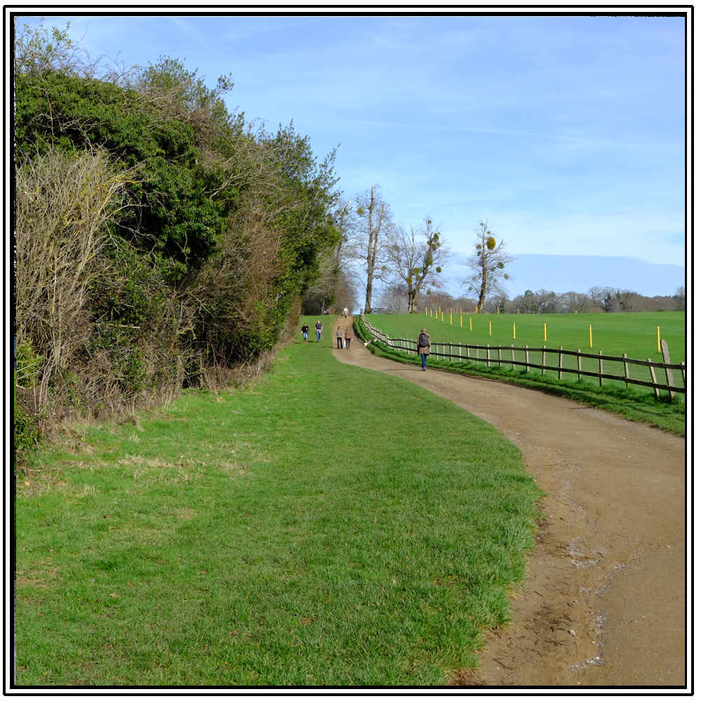 Cowdray Ruins, Easebourne, 