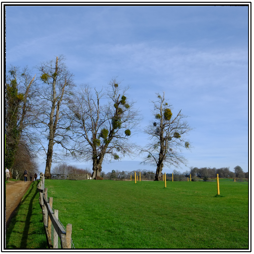 Cowdray Ruins, Easebourne, 