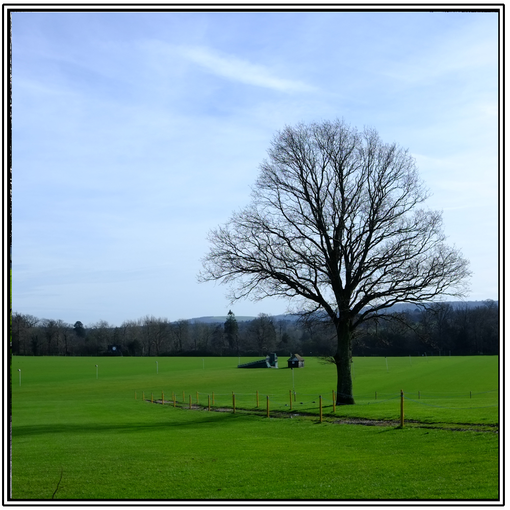 Cowdray Ruins, Easebourne, 