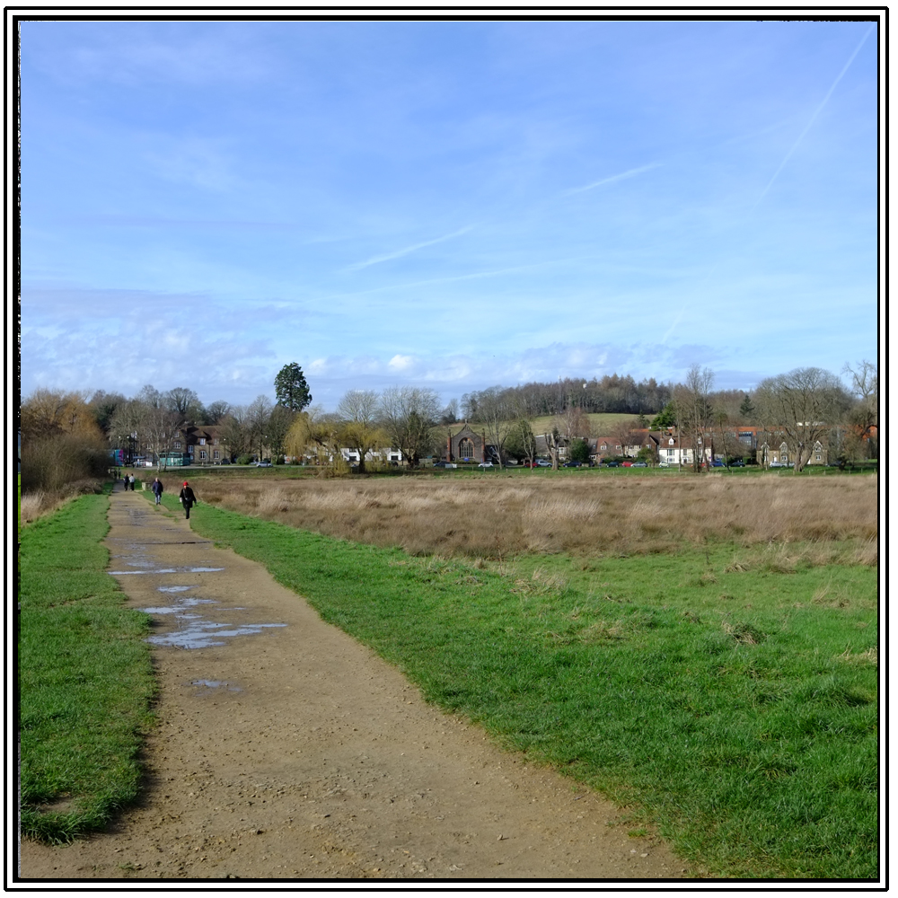 Cowdray Ruins, Easebourne, 