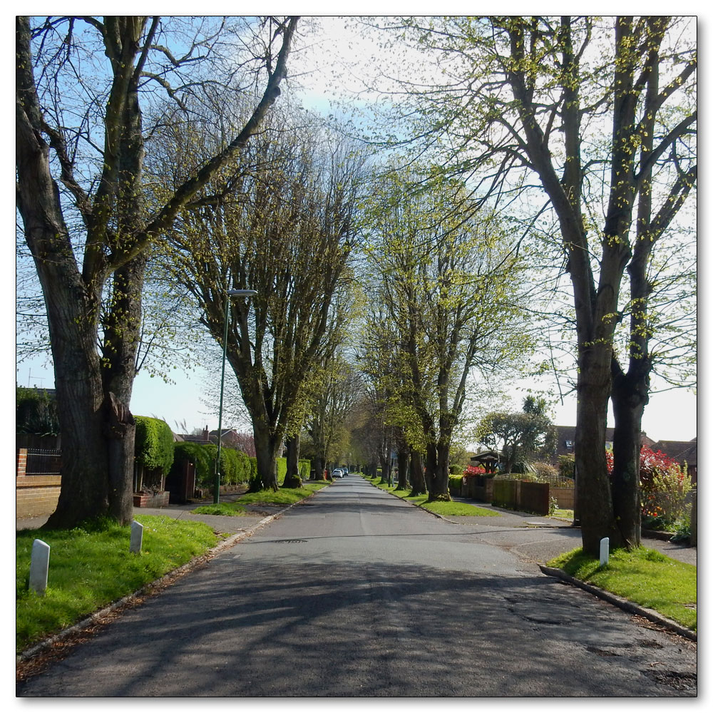 To the shops, Old Manor Road