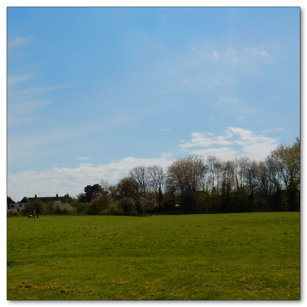 To the shops, Westlands Field